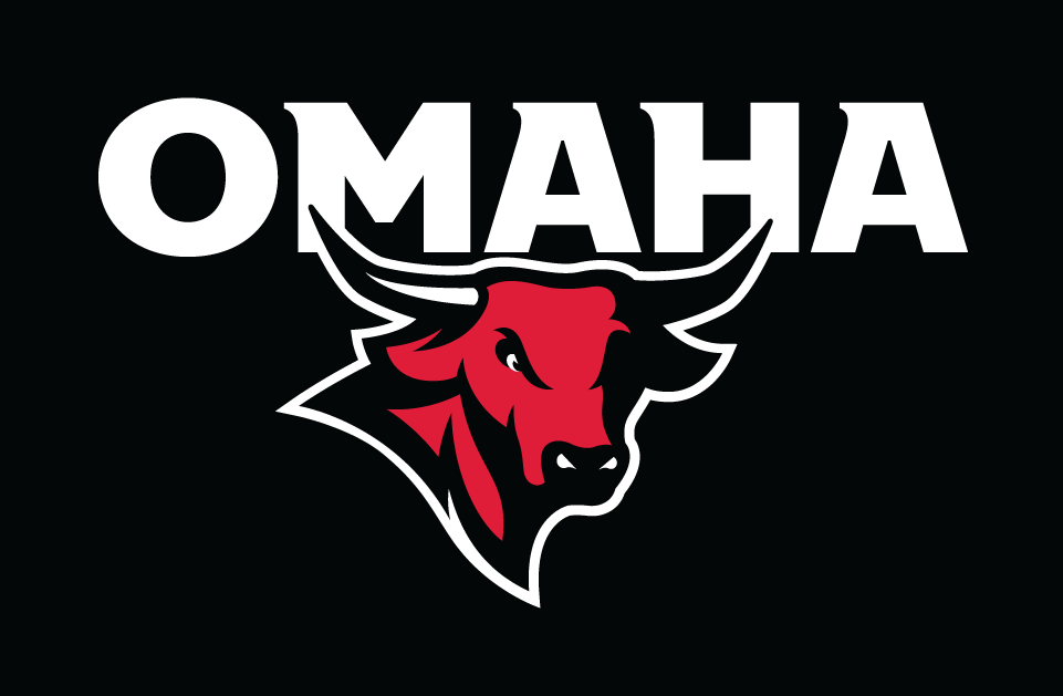 Nebraska-Omaha Mavericks 2011-Pres Alternate Logo v3 diy DTF decal sticker